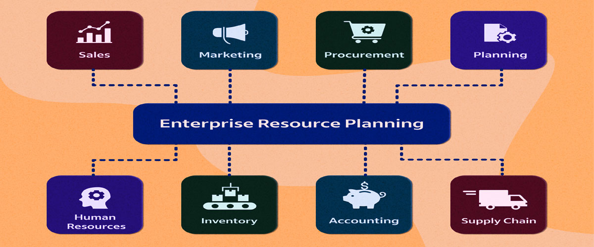 Website Development, Software Development and IT Services