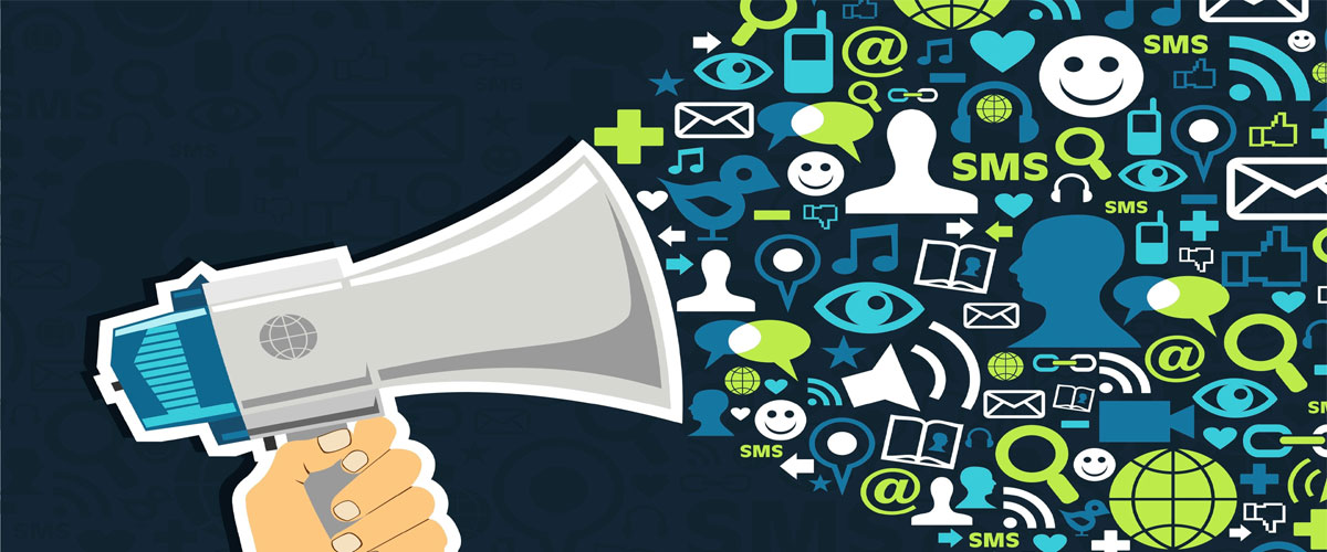 Website Development, Software Development and IT Services